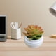 thumbnail image 5 of Planta suculenta artificial en maceta | Suculentas artificiales para la decoración del hogar y la oficina | Plantas de plástico realistas en maceta para escritorio, estante o alféizar, 5 of 6