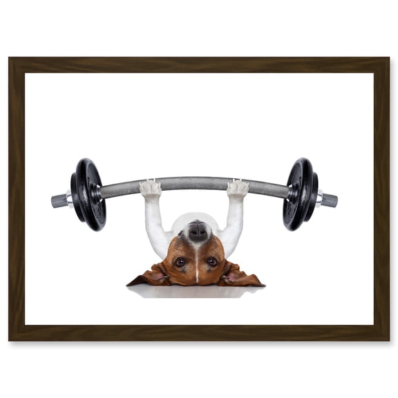 Funny Photo Jack Russell Dog Personal Trainer Weight Lifter Artwork Framed Wall Art Print A4