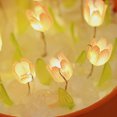 thumbnail image 2 of DIY tulipán en maceta luz de noche con pilas hecho a mano tulipanes lámpara de noche LED tulipán luz de noche maceta lámpara casa decoración regalos, 2 of 3