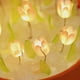 thumbnail image 2 of DIY tulipán en maceta luz de noche con pilas hecho a mano tulipanes lámpara de noche LED tulipán luz de noche maceta lámpara casa decoración regalos, 2 of 5