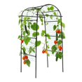thumbnail image 1 of Soporte metálico para trepar Garden Arch Trellis Lalahoni, 203 cm, 1 of 6