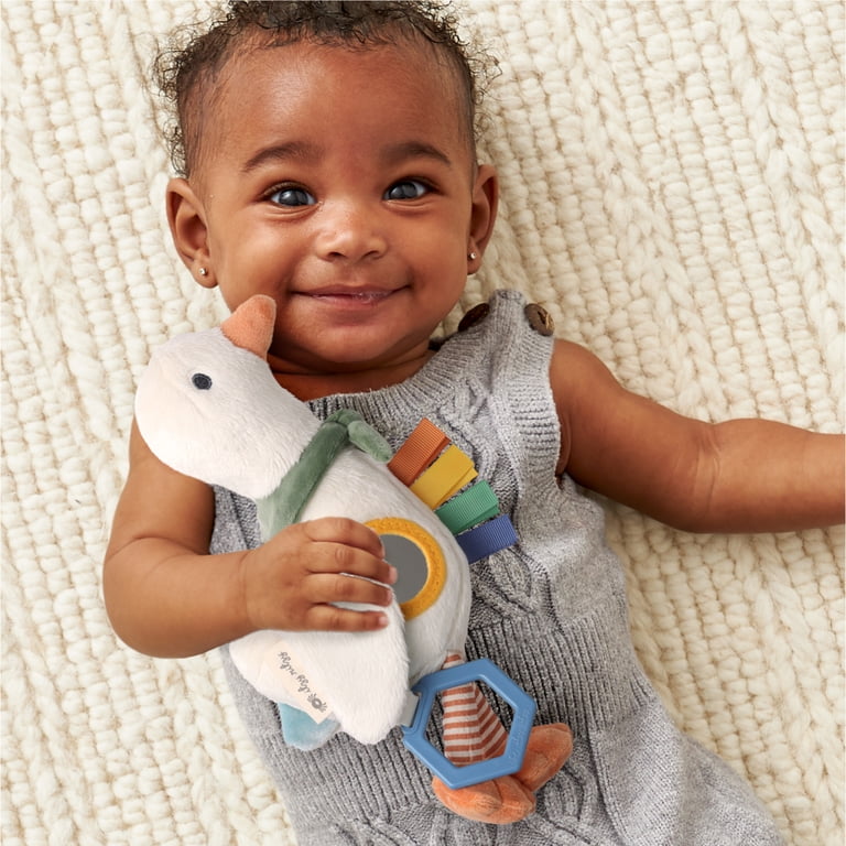 Itzy Ritzy Bitzy Traveler Goose Car Seat Toy photo 2