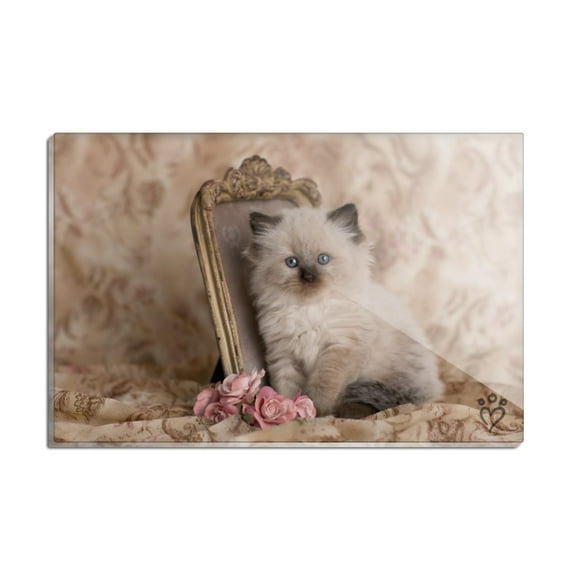 Ragdoll Tiffany Cat Kitten Victorian Roses Rectangle Acrylic Fridge Refrigerator Magnet