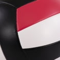 thumbnail image 4 of Regent Volleyball, 4 of 6