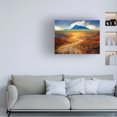 thumbnail image 3 of Chris Vest 'Golden Road II' Canvas Art, 3 of 4