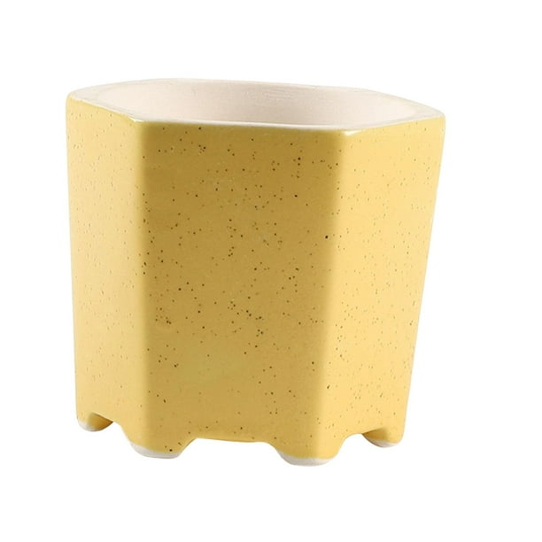 Multipurpose Flowerpot Decorative Containers Hexagon with Drainage Hole