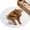 Brown, variant on Funny Yaks Entryway Rug 2x3ft Washable Non Slip Bathroom Rug Low Pile Soft Indoor Floor Front Door Mat Cute Art Fun Lovely Animals on Toilets Rectangle Area Rugs Carpet for Kitchen Office Dining Room
