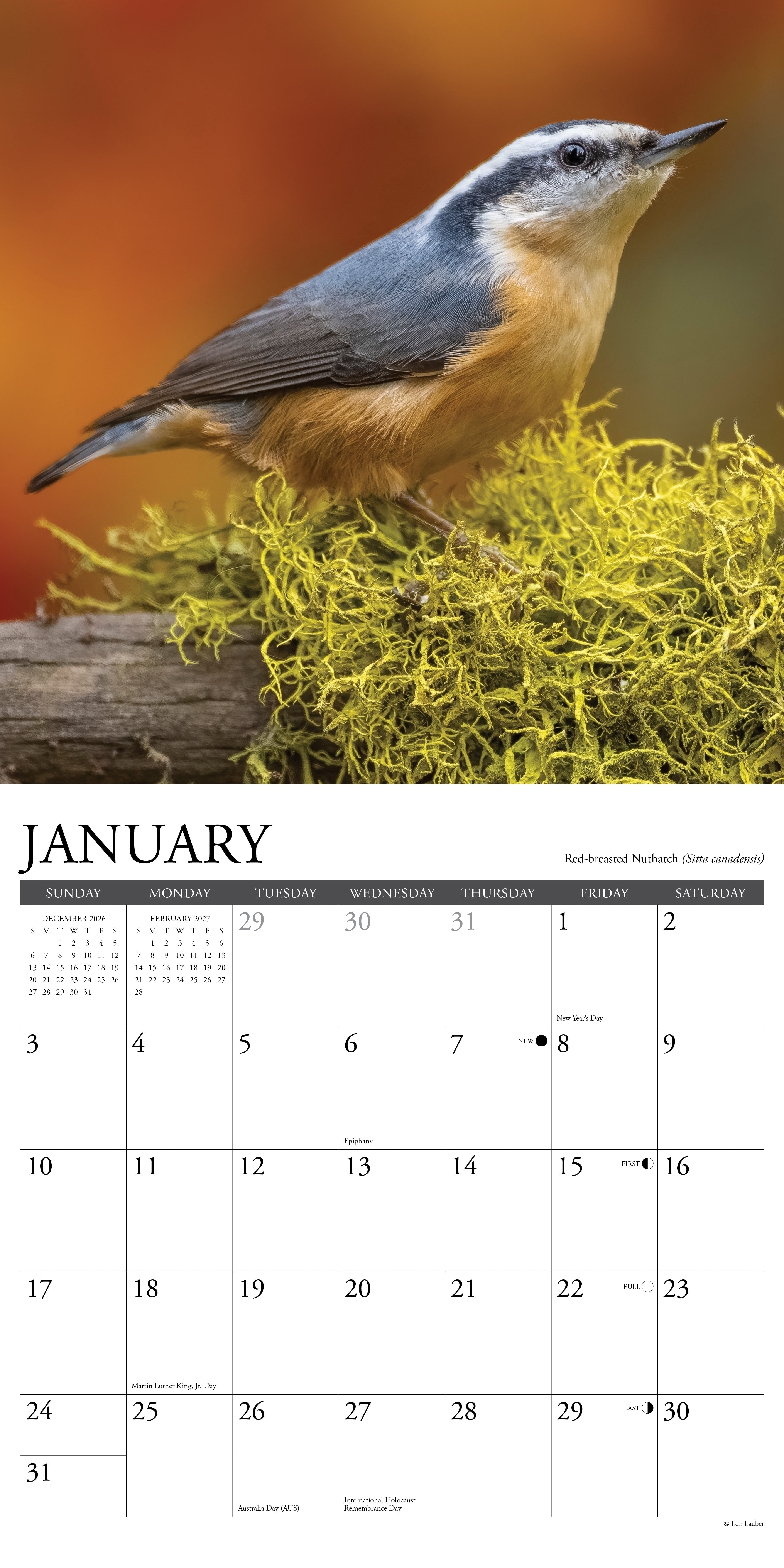 Willow Creek Press, Backyard Birds 2027 Wall Calendar