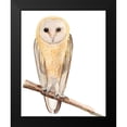 thumbnail image 2 of Ludwig, Alicia 12x14 Black Modern Framed Museum Art Print Titled - Hoo Dis II, 2 of 5
