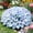 C, variant on Hosta-Mix-Garden Stake for Outdoor Decoration,Fresh Natural Accent for Patio and Walkways