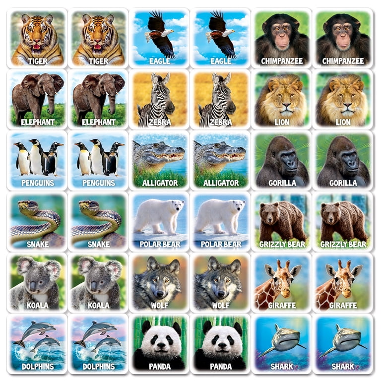 World of Animals Board Game - Fun Kids Matching Game - Walmart.com