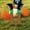 F, variant on Halloween Witch Leg Decorations, Outdoor Garden Yard Stakes Fake Witch Feet Props for Front Porch Patio Lawn Haunted House Party Display, Spooky Holiday Indoor Outdoor Home Decoration