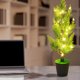 thumbnail image 1 of Ganfancp Led Luz de Noche Simulación Planta Árbol Luz Bonsai Pinaster Aguja Rábano Verde Dormitorio Escenografía Decoración Luz Ofertas Flash Liquidación Lámpara de Planta Simulada*1, 1 of 5