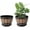 5018, variant on Sunjoy Tech 9" x 9" x 6.7" Barrel Brown Plastic Plant Pots with Drainage Holes