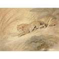 thumbnail image 2 of Samuel Howitt 14x11 Black Ornate Wood Framed Double Matted Museum Art Print Titled: A Cheetah Crouching by a Pool, 2 of 5