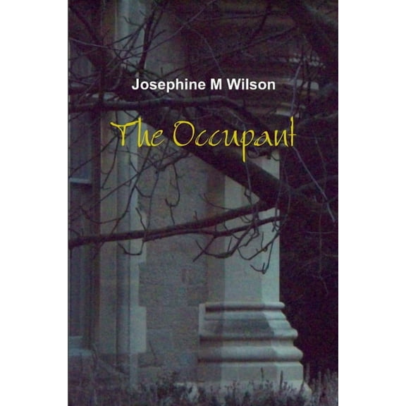 The Occupant, (Paperback)