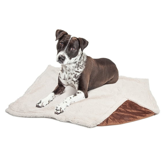 Pawsse Sherpa Puppy Blanket for Small Dogs Kitten, Warm Flannel Plush Pet Bed Blanket Reversible, 45"x30" Brown