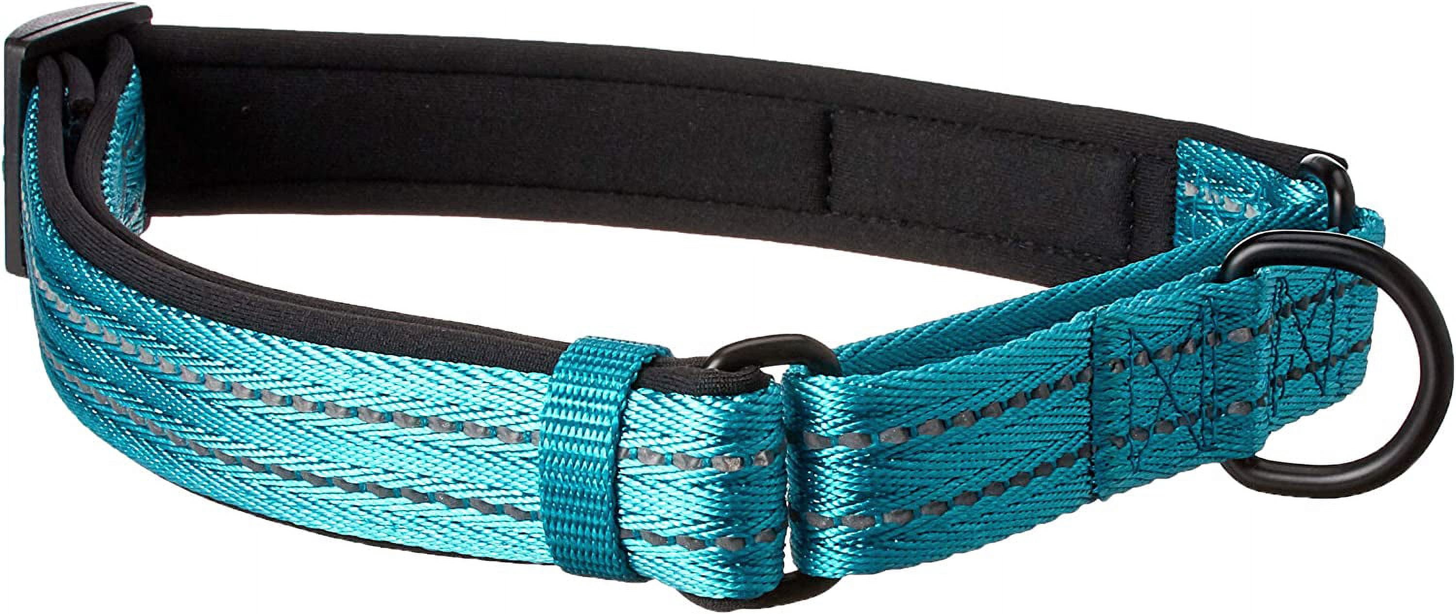 Alcott Martingale Collar with Reflective Stitching & Neoprene Padding, Large, Blue