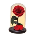 thumbnail image 2 of Regalos del día de San Valentín, decoración de San Valentín, regalos de cumpleaños, manualidades, rosa eterna en cúpula de cristal, regalos de flores , estilo E BLESIY Rosa en la cúpula, 2 of 8