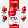 thumbnail image 3 of Activlife Keto ACV Gummies, 2 Pack, 120 Gummies, 3 of 6