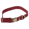 thumbnail image 2 of Collar para gato, collar de cuero para perro, collar de cuero suave para perro, collar clásico de cuero acolchado para mascotas, rendimiento de primer nivel, 2 of 8
