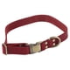 thumbnail image 1 of Collar de cuero para perros Collar de cuero acolchado suave para mascotas con hebilla grabada para perros y gatos pequeños, medianos y grandes, 1 of 8