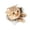 cat2, variant on Cute Cats Wall Sticker Hole View Vivid Bathroom 3D Toilet Stickers For Home Decoration Animals Decals Self-adhesive Poster