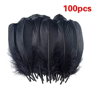 HaiMay 200 Pieces Black Feathers for Craft Wedding Home Party Decorations,  6-8 Inches Goose Feathers Black Craft Feathers