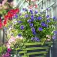 thumbnail image 6 of Sinhoon 8 Pack UV Resistant Outdoor Artificial Flowers Bulk Faux Plastic Plants Outside Indoor Fake Hanging Greenery Shrubs Arrangement for Backyard Window Box Porch Home Patio Decoration (Purple), 6 of 14