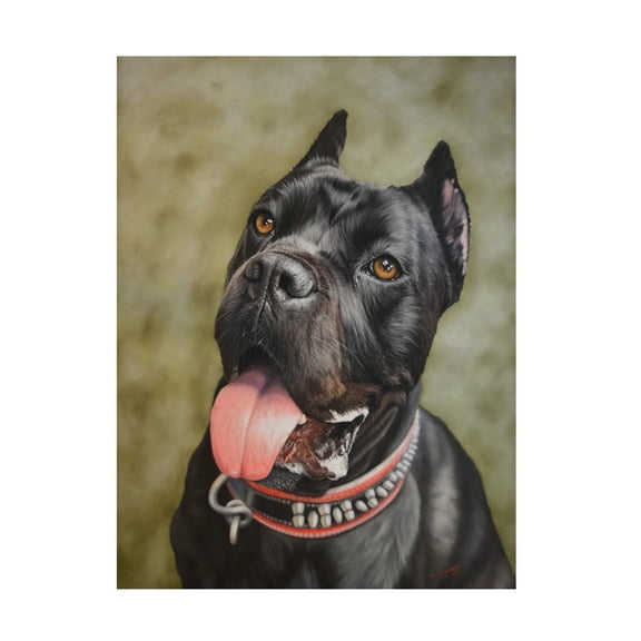 Steve Crockett 'Pet Portrait Of Khan The Cane Corso' Canvas Art