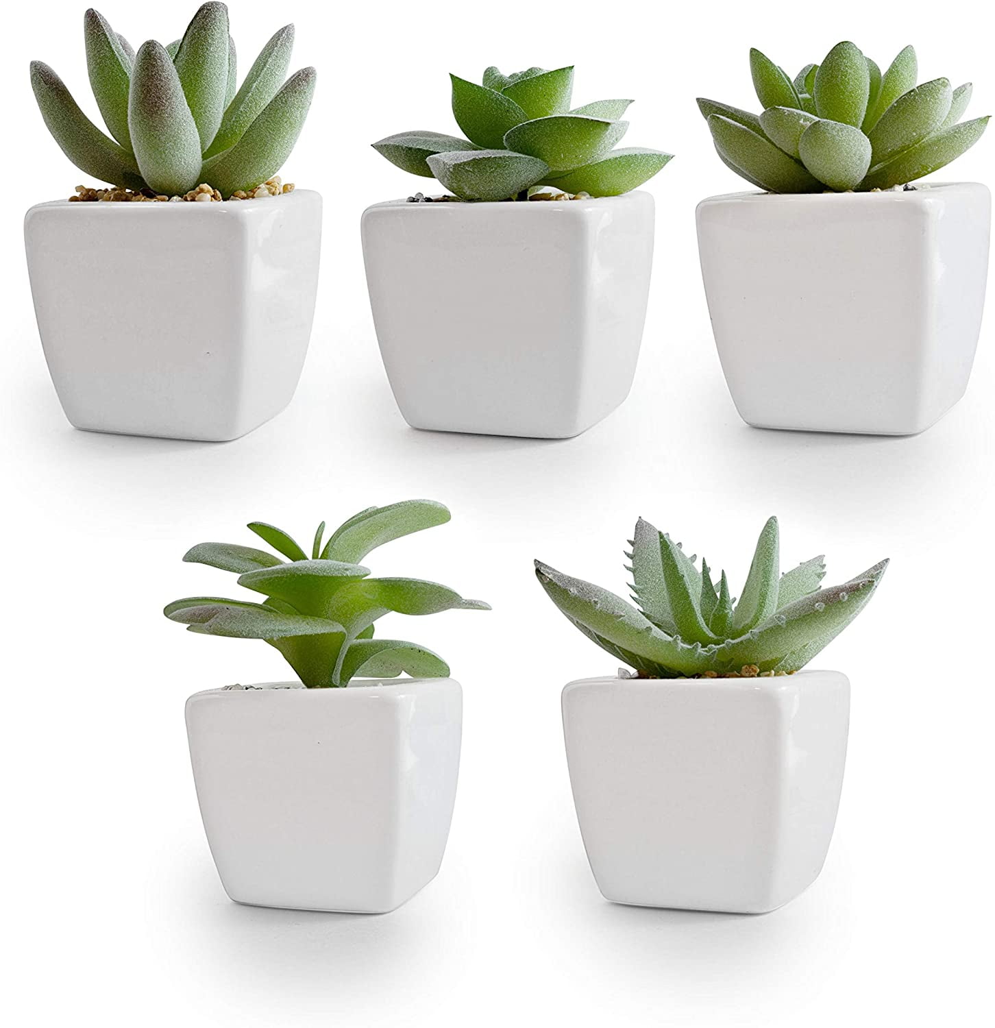 Korvea Set of 5 Artificial Succulent Plants in Ceramic Pots Assorted