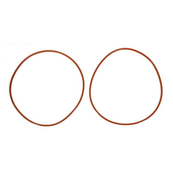 Raypak O-Ring Set of 2 011600F
