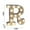 I, variant on RKSTN Lights Light Up Letters , LED Letters Lights Sign 26 Alphabet Big Lights Letter For Party Birthday Bar Battery Powered Christmas Decor Letter Lights (Warm White) Lights