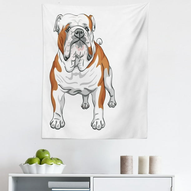 muscular english bulldog