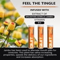 thumbnail image 2 of Xero Picks Infused Flavored Toothpicks to Help Quit Smoking - Nicotine Free (Fruit Chill, 3 Pack) Non-GMO Kosher Vegan, 2 of 7