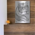 thumbnail image 5 of Luxe Metal Art 'Voyager' by Barbara Keith, Metal Wall Art, 12"x16", 5 of 9