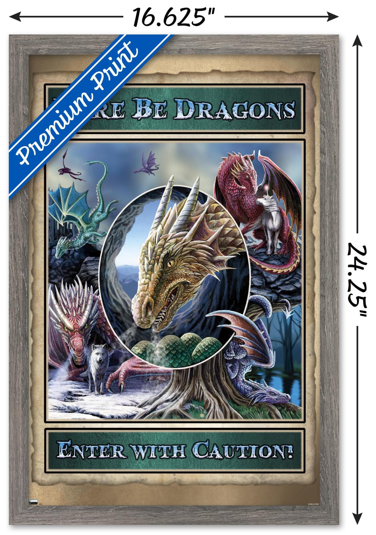 Lisa Parker - Here Be Dragons Wall Poster, 14.725" x 22.375", Framed