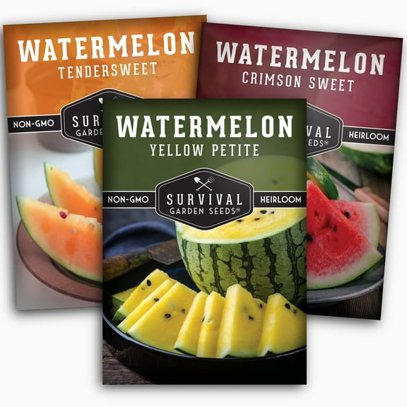 Watermelon Seeds 3 Pack Collection - Yellow Petite, Georgia Rattlesnake Red, Orange - Full Sun Annual Vegetable