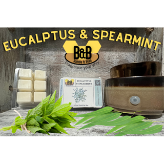 Eucalyptus Wax Melts – Zenorama