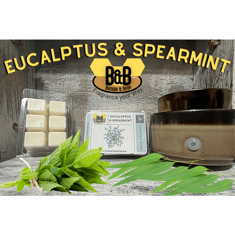 Peppermint & Eucalyptus Soy Wax Melts