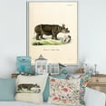 thumbnail image 2 of Designart 'Ancient Rhinoceros' Farmhouse Framed Canvas Wall Art Print, 2 of 5