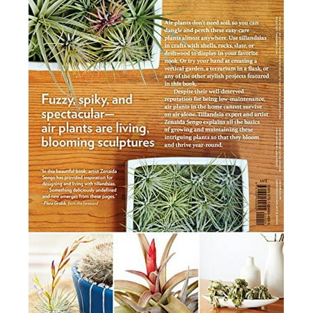 Air Plants - Paperback