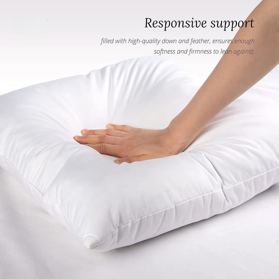Euro Pillow Inserts 24 x 24 (Pack of 2, White), Feather Down Pillow Stuffer, White Throw Pillows for Bed, Couch, and Cushion