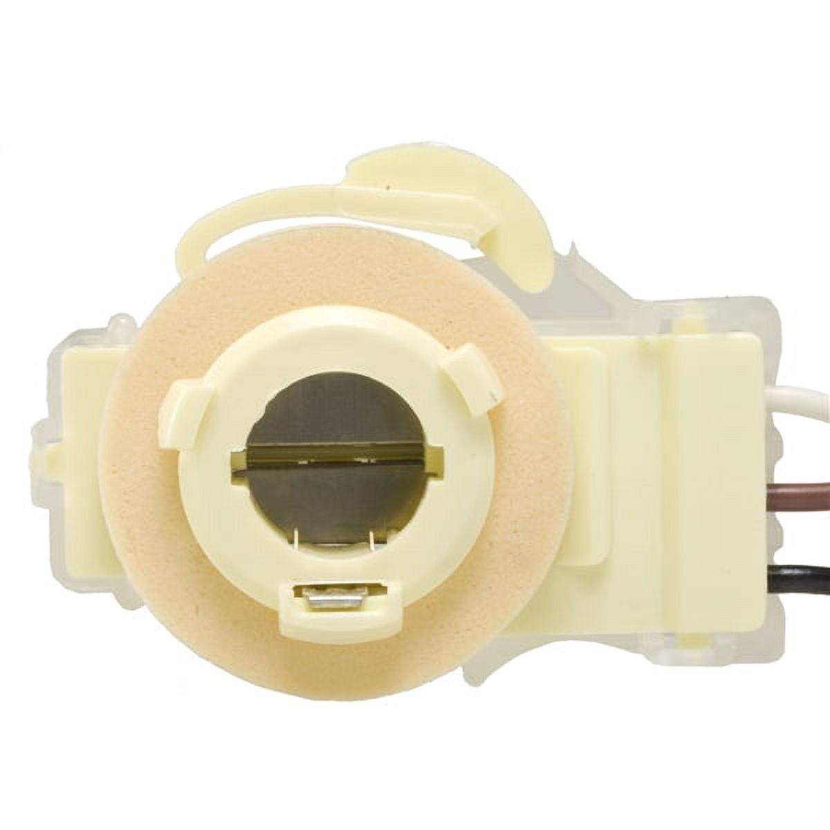 Tail Light Socket