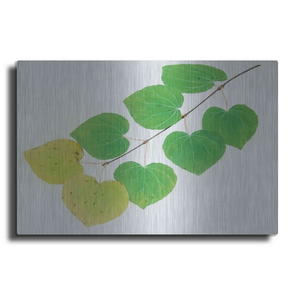 Luxe Metal Art 'Katura' by Zigen Tanabe, Metal Wall Art, 24"x16"