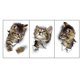thumbnail image 2 of Pegatinas de pared de gato 3D, 3 unidades de pegatinas de pared, pegatinas de pared de combinación, pegatinas de baño, pegatinas impermeables para nevera, pegatinas de puerta, decoración de pared de c Afortunado Sencillez, 2 of 5