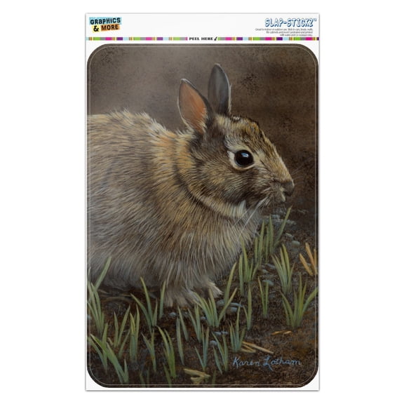Backyard Bunny Rabbit Hare Home Business Office Sign