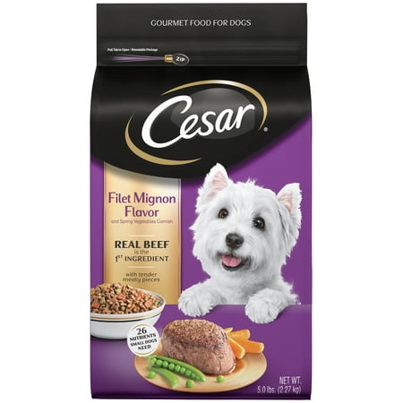 Cesar Small Breed Dry Dog Food Filet Mignon Flavor with Spring Vegetables Garnish, 5 lb. (Top 5 Best Dog Food Brands)