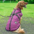 thumbnail image 2 of Large Pet Dog Jacket Winter Warm Waterproof Vay with Harness, 2 of 4