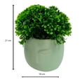 thumbnail image 3 of Planta Artificial con Maceta Mainstays 18 cm Maceta con Diseño de Cara, 3 of 4